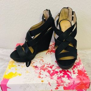 Chinese Laundry Major Crush Black 5.5M